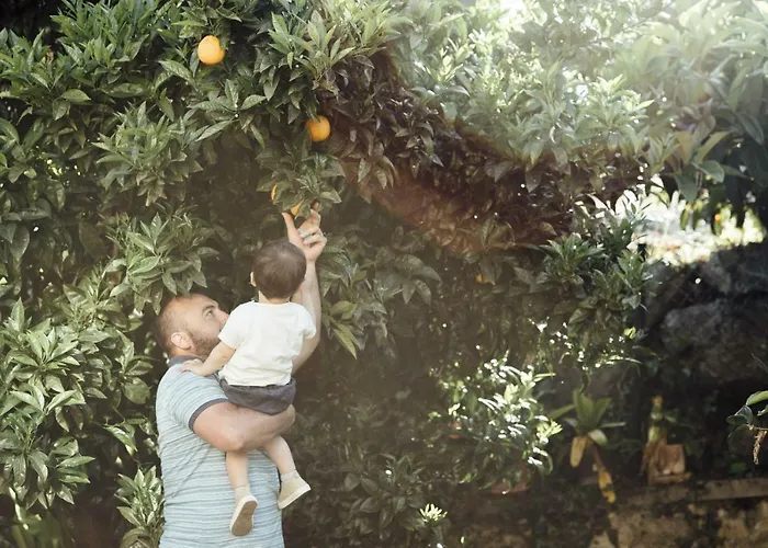 The Cantabrian Serdio